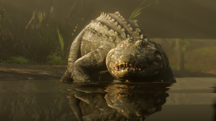 Alligator from Red Dead Redemption 2