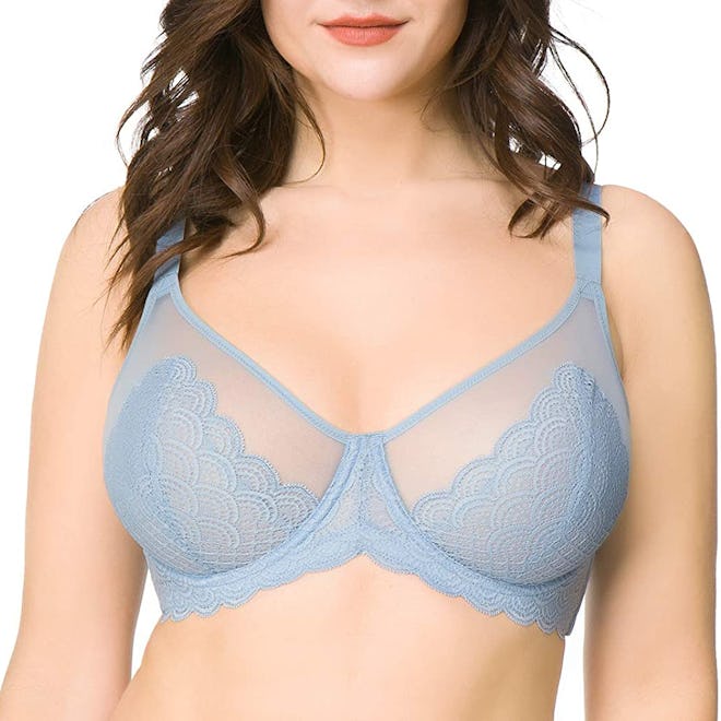 HSIA Plus Size Sheer Underwire Unlined Bra