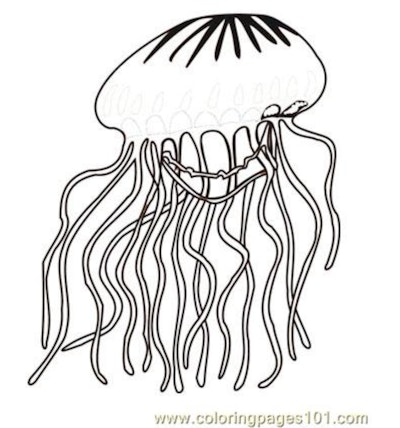Black and white cartoon coloring page; Jellyfish with lots of legs, realistic looking