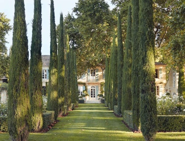 The Cypress Allee at Mas des Poiriers with a row of tall trees and a house in the background