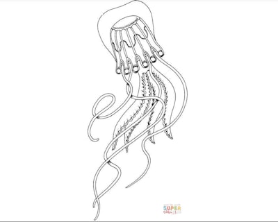 Black and white cartoon jellyfish coloring page; jellyfish with long flowy legs