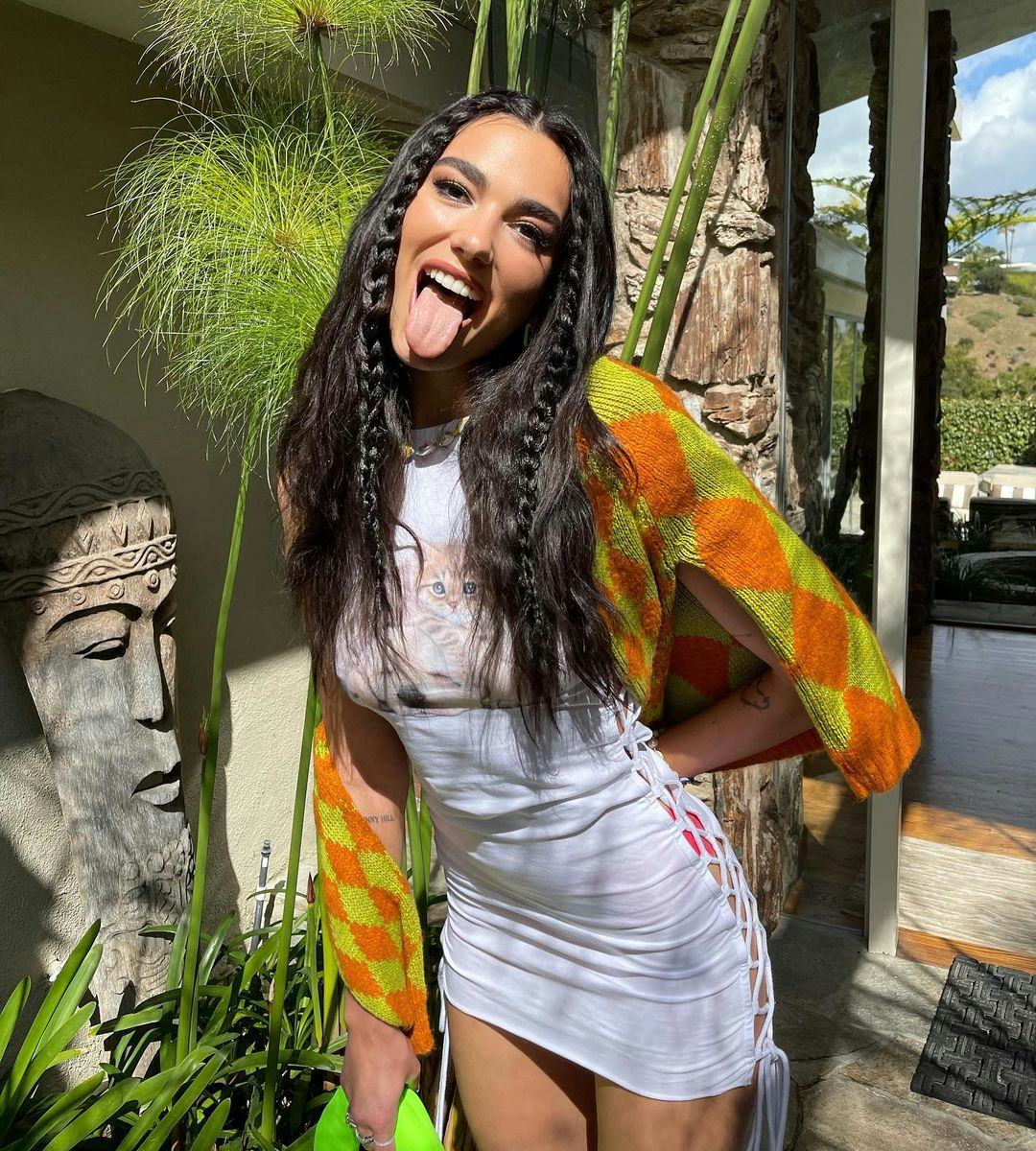 best braided hairstyles dua lipa