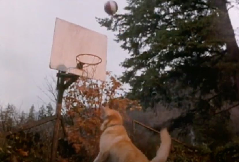 'Air Bud' is a film from 1997.