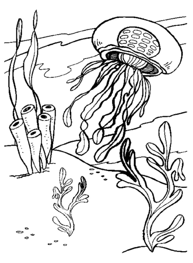 Black and white cartoon coloring page; jellyfish underwater with plants and oceanlife around it