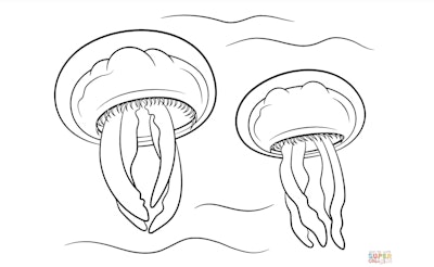Jellyfish coloring pages: two cartoon moon jellyfish under the water.