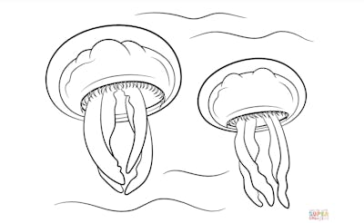 20 Jellyfish Coloring Pages