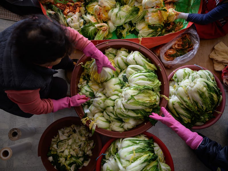 People prepare cabbages to make kimchi. 