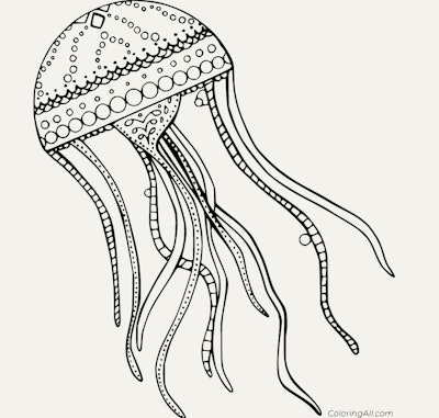 Black and white cartoon jellyfish adult coloring page; intricate designs and details