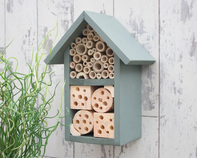 Insect and Bee Hotel
