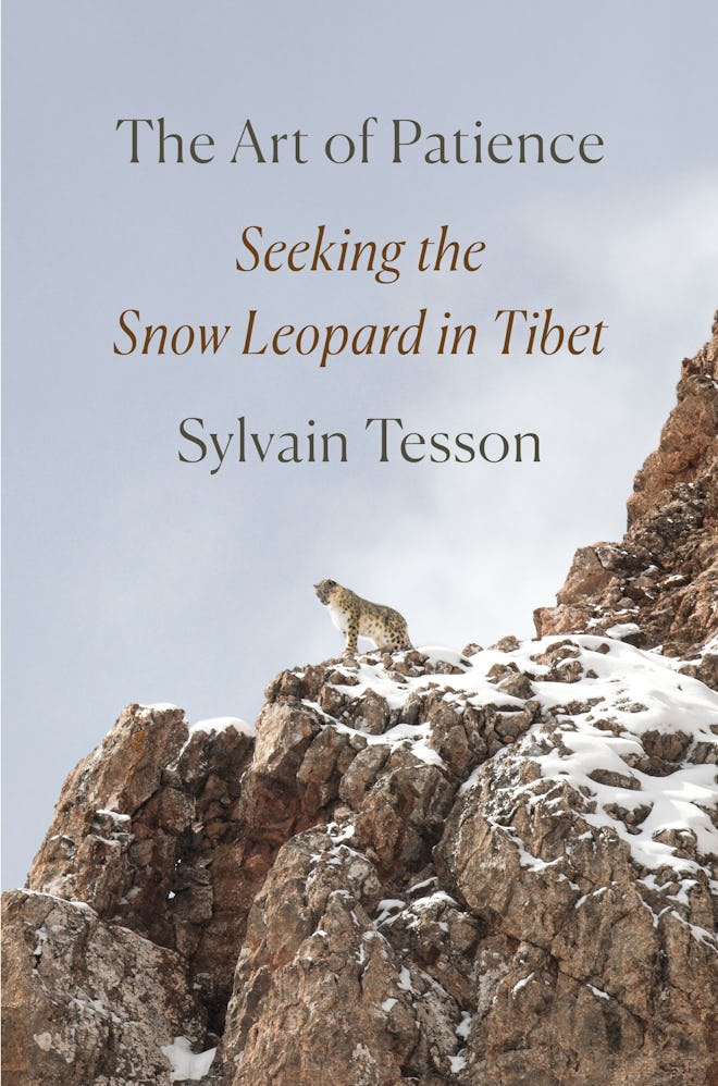 'The Art of Patience: Seeking the Snow Leopard in Tibet' by Sylvain Tesson