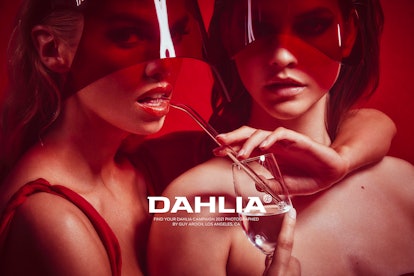 Stella Maxwell and Barbara Palvin for Dahlia Tequila.