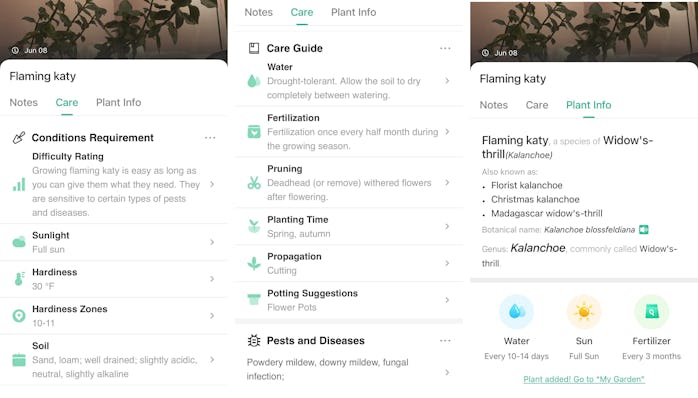 PictureThis app review. Plant care. Taking care of plants.