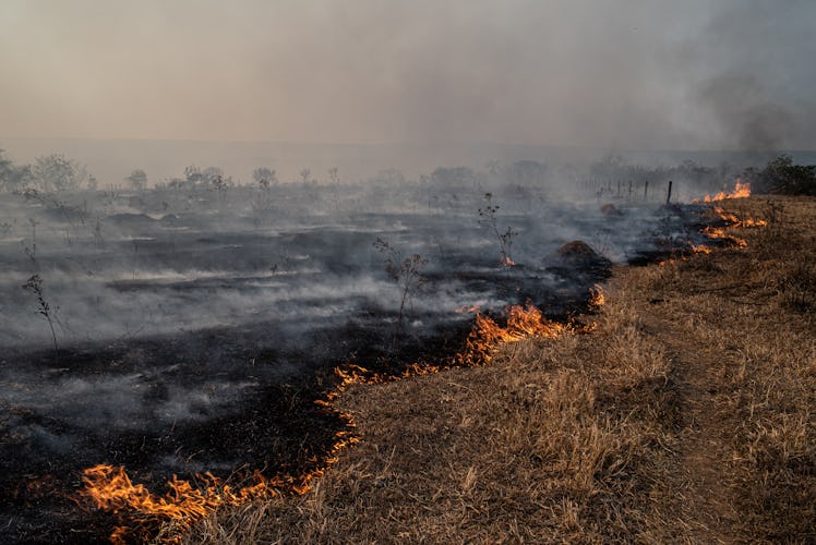 Forest fire in Brazilian Amazon