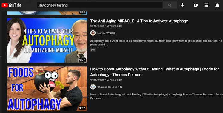 Youtube results on autophagy and fasting