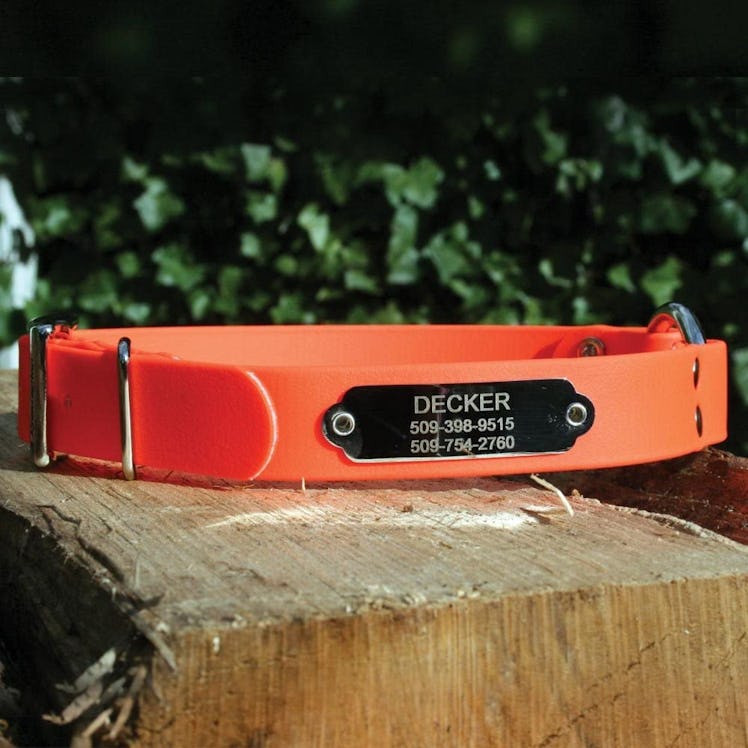 GoTags Sporting Dog Collar