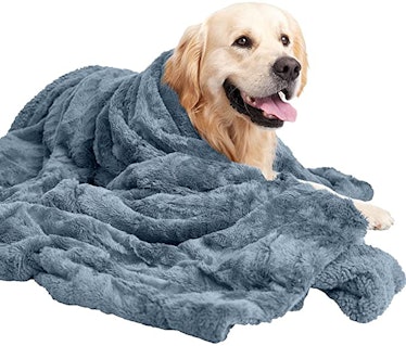 MIGHTY MONKEY Pet Blanket
