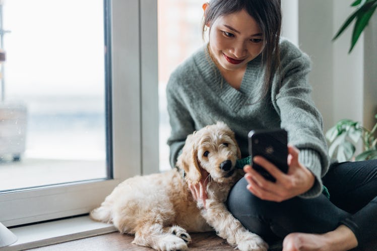 Young woman holding her phone up to take a selfie with her puppy before posting pics on Instagram wi...