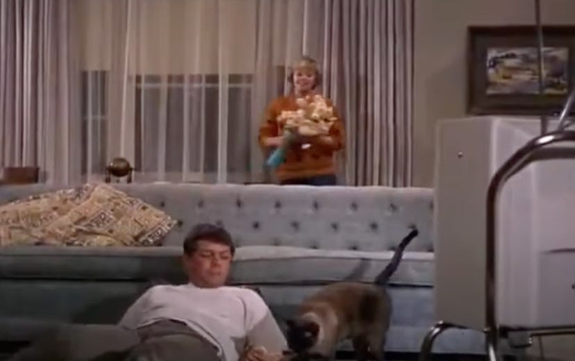 'That Darn Cat!' is a movie from 1965.