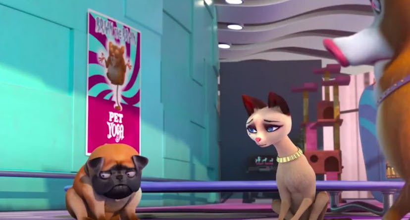 'Pets United' is streaming on Netflix.