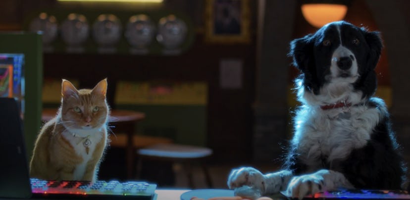 'Cats & Dogs: Paws Unite!' is a movie from 2020.