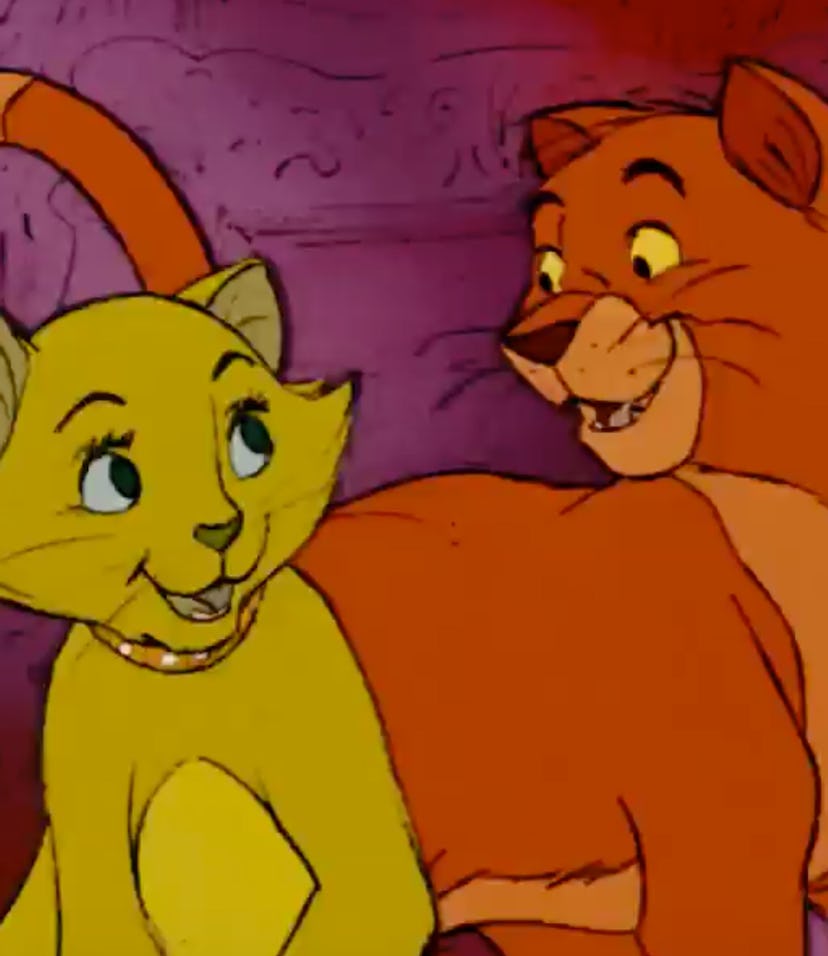 There are so many movies and TV shows about cats that are streaming online.