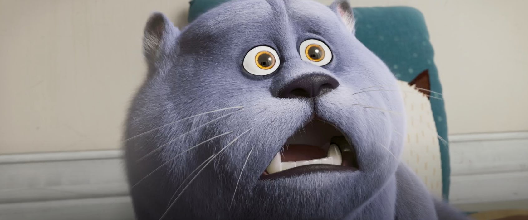 Best Cat Movies & Shows For Kids