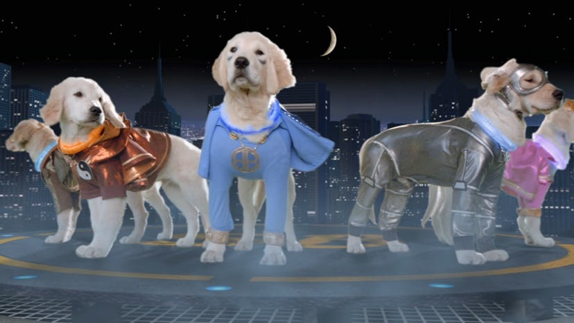 The Buddies movies are a spin off from the popular Air Bud.