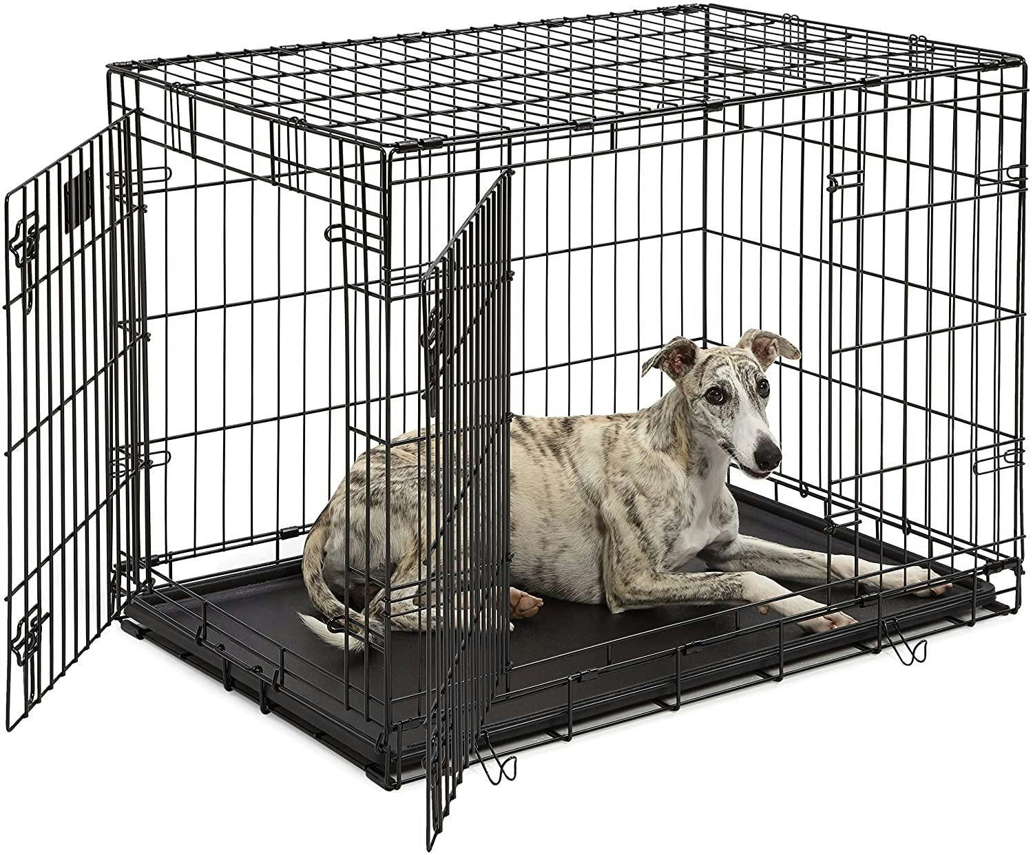 The 6 Best Puppy Crates