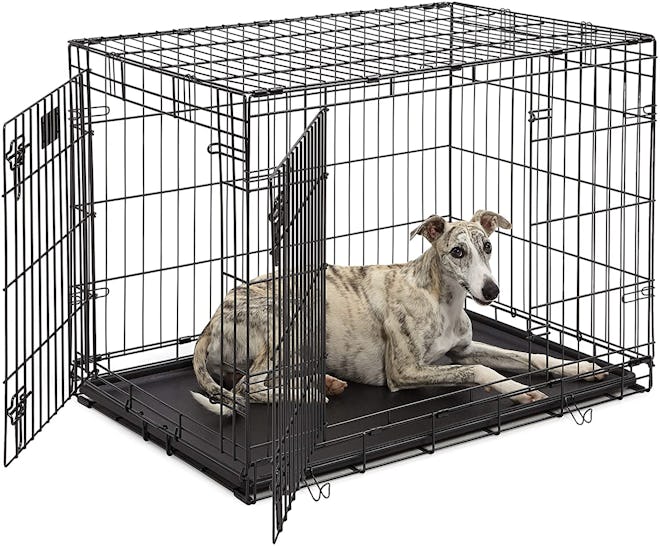 MidWest Homes For Pets Lifestages Double Door Collapsible Wire Dog Crate