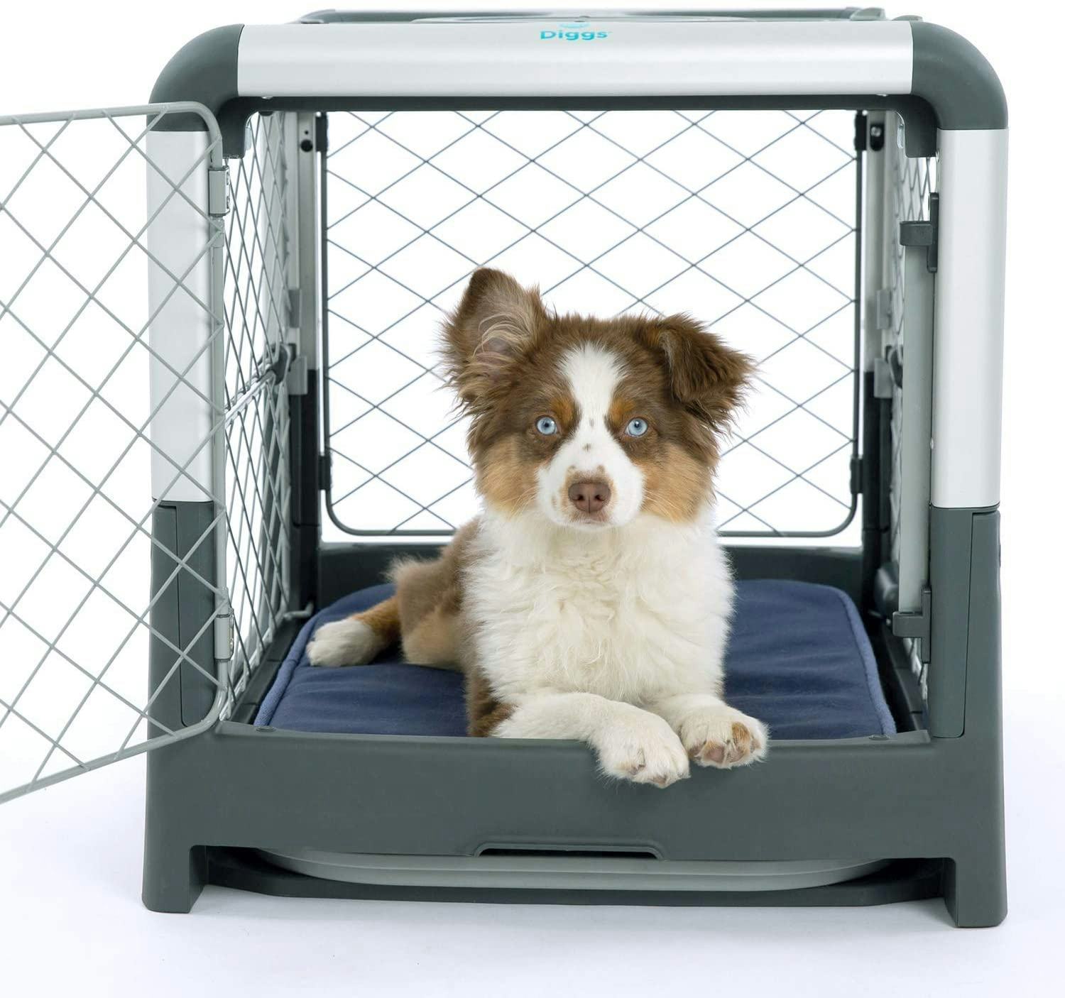 The 6 Best Puppy Crates