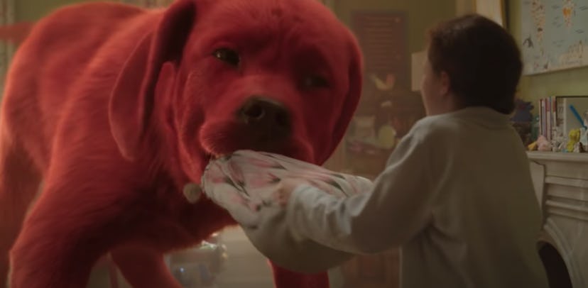 Clifford the Big Red Dog makes his big screen debut in this live action film.