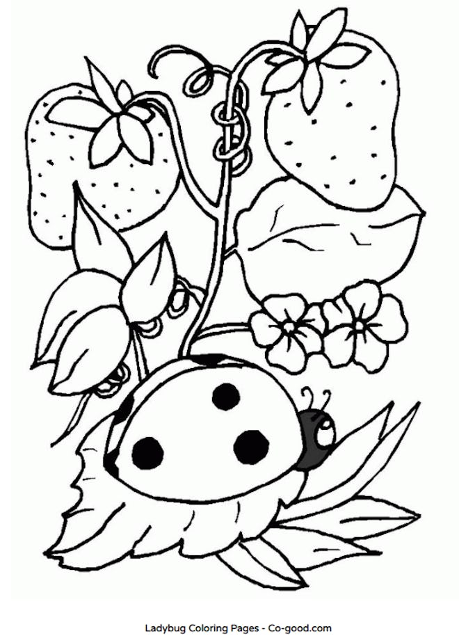 ladybug with strawberries coloring page