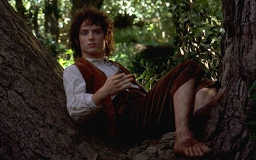 Elijah Wood as Frodo Baggins in Lord of the Rings: Fellowship of the Ring