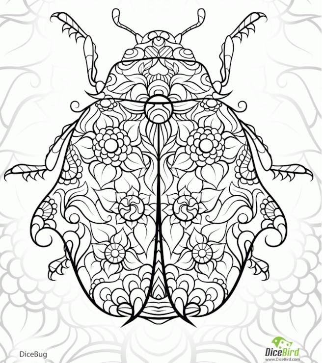 intricate ladybug coloring page
