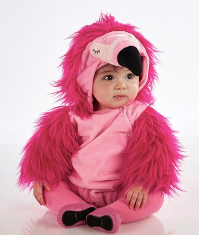 A baby flamingo costume