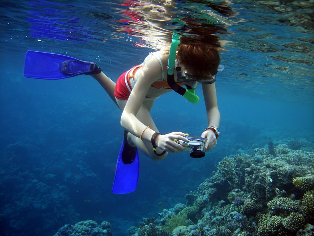 The 4 Best Cheap Underwater Cameras