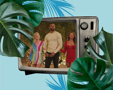 A collage of The Love Island cast, a tv and monstera plant leaves