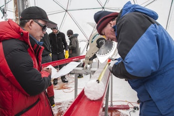 scientists examining ice core drilled from glacier