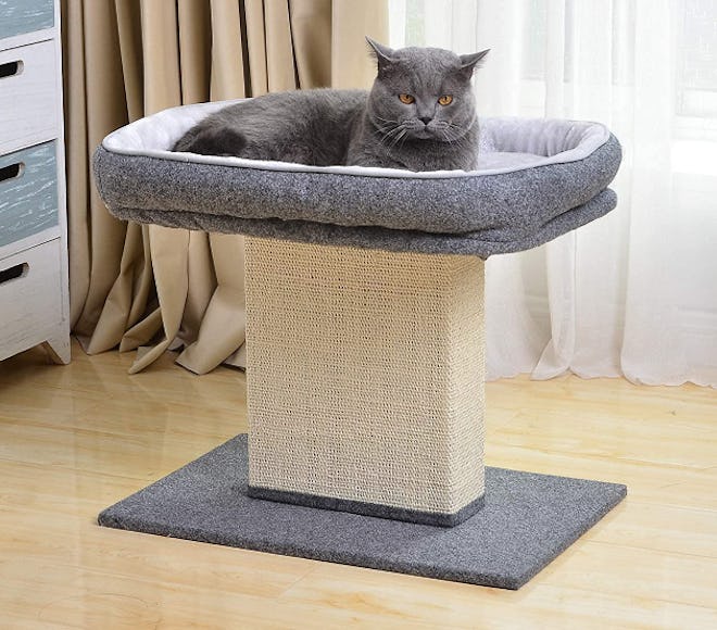 Catry Cat Bed With Scratching Post