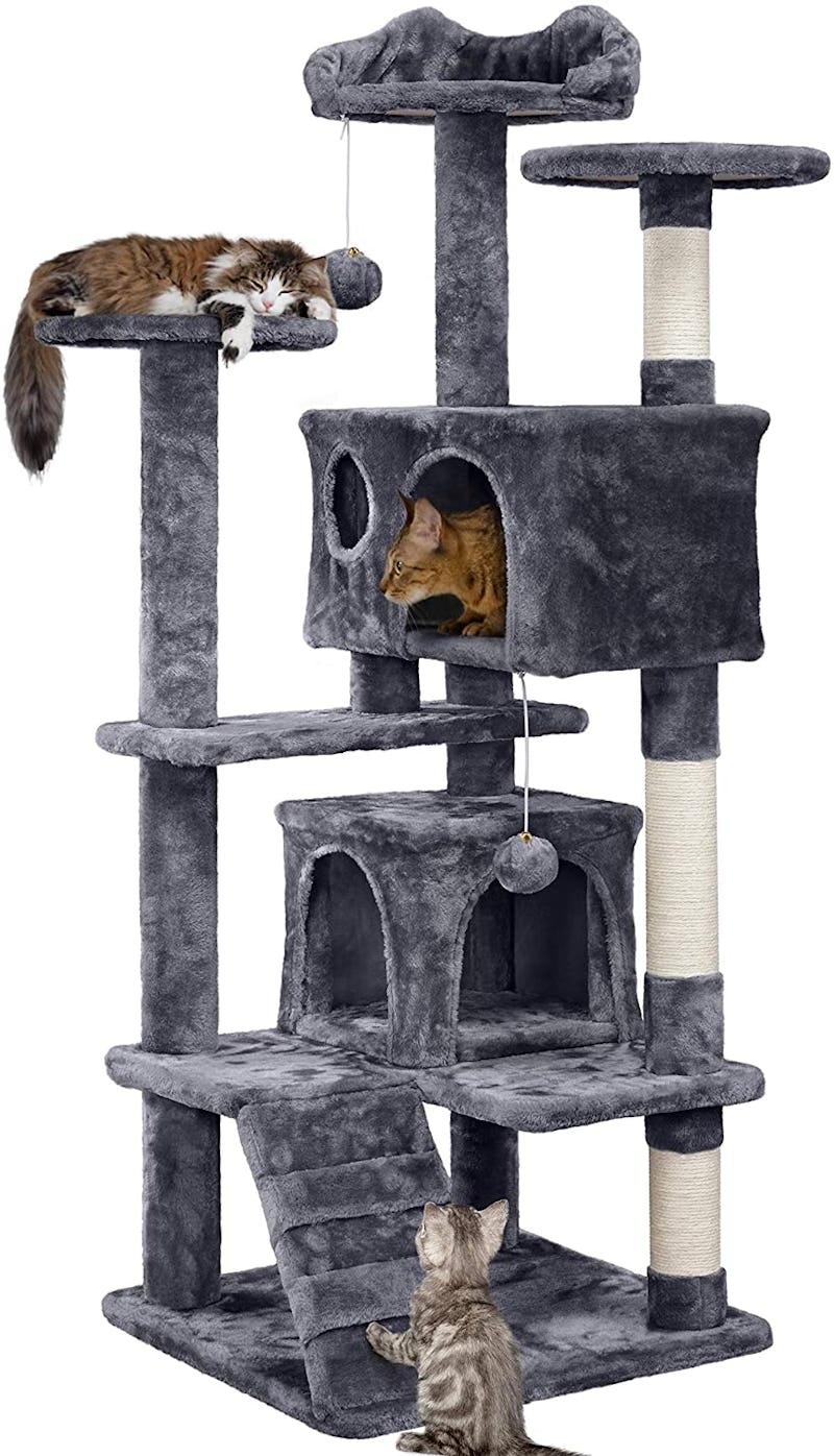 best cat tree for large cats