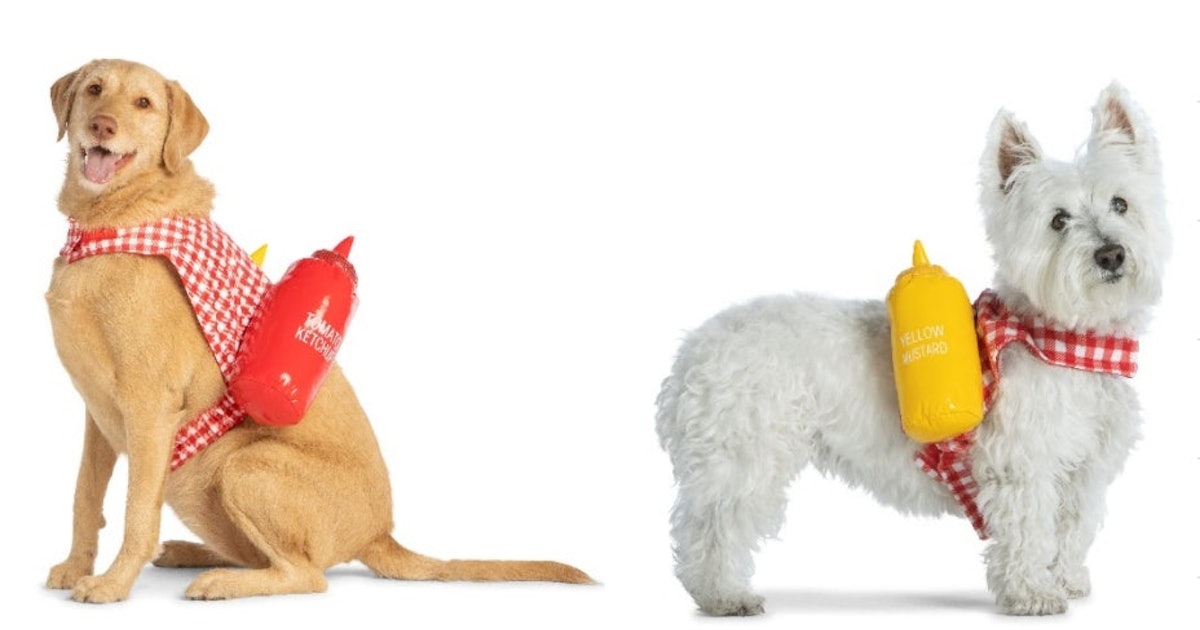 PetSmart’s New 2021 Halloween Costumes For Dogs, Cats, & Guinea Pigs