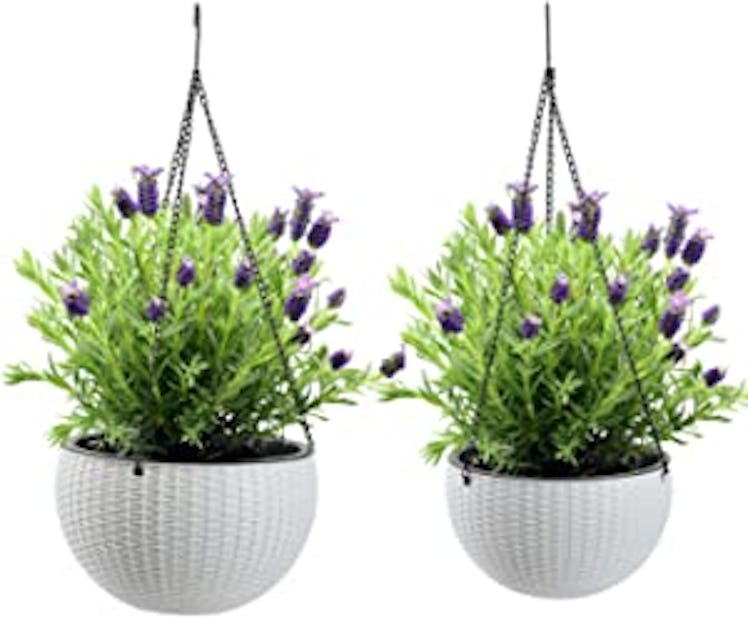 YCOCO Self Watering Hanging Planters (Set of 2)