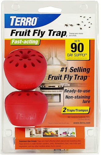 Terro Fruit Fly Trap (2-Pack)