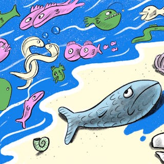 Fish alone on land while other fish couples swim freely in the ocean.