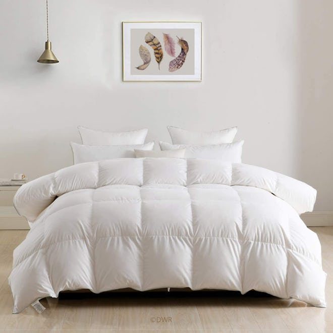 DWR Egyptian Bedding Goose Down Comforter 