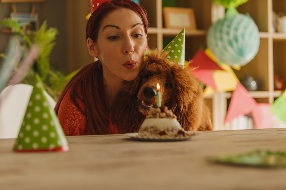 Dog Birthday Quotes For Instagram Captions On Your Puppy's Special Day