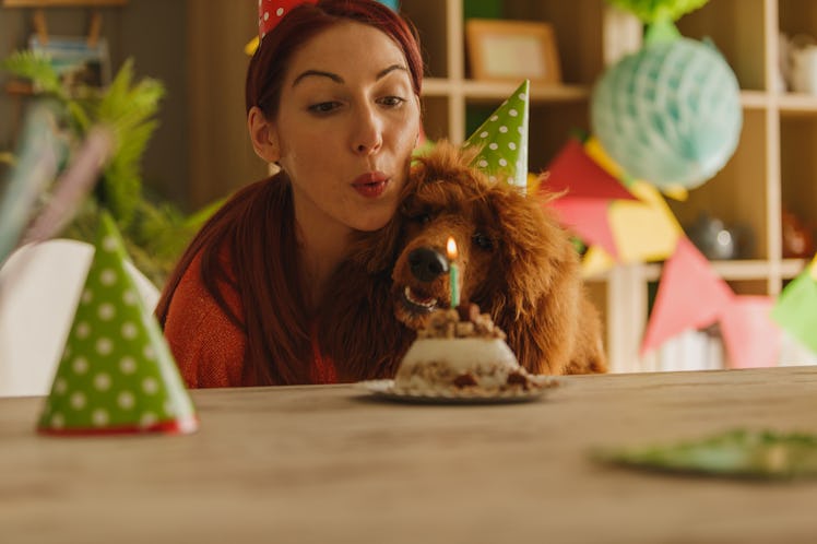 Young woman blowing out the candles on her dog's cake before posting on Instagram with dog birthday ...