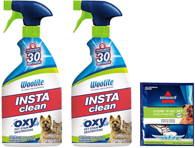 Bissell Woolite INSTAclean Permanent Pet Stain Remover (2 pack)