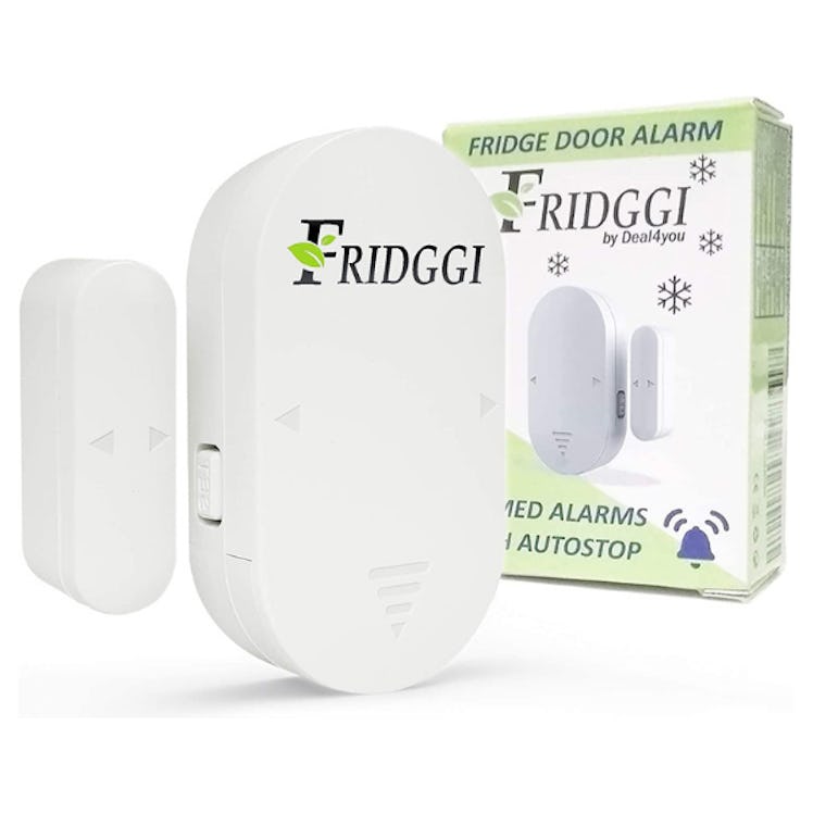 FRIDGGI Freezer Door Alarm