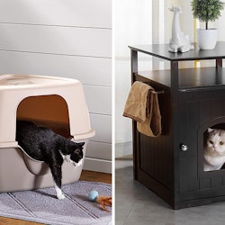 Best Cat Litter Boxes For Small Spaces
